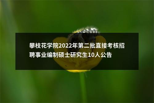 攀枝花学院2022年第二批直接考核招聘事业编制硕士研究生10人公告 图片