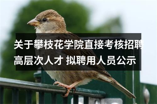 关于攀枝花学院直接考核招聘高层次人才 拟聘用人员公示 图片