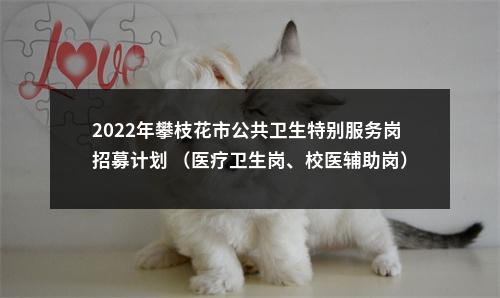 2022年攀枝花市公共卫生特别服务岗招募计划 （医疗卫生岗、校医辅助岗）拟体检人员公示（第一批） 图片