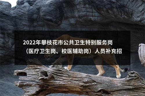 2022年攀枝花市公共卫生特别服务岗（医疗卫生岗、校医辅助岗）人员补充招募公告 图片